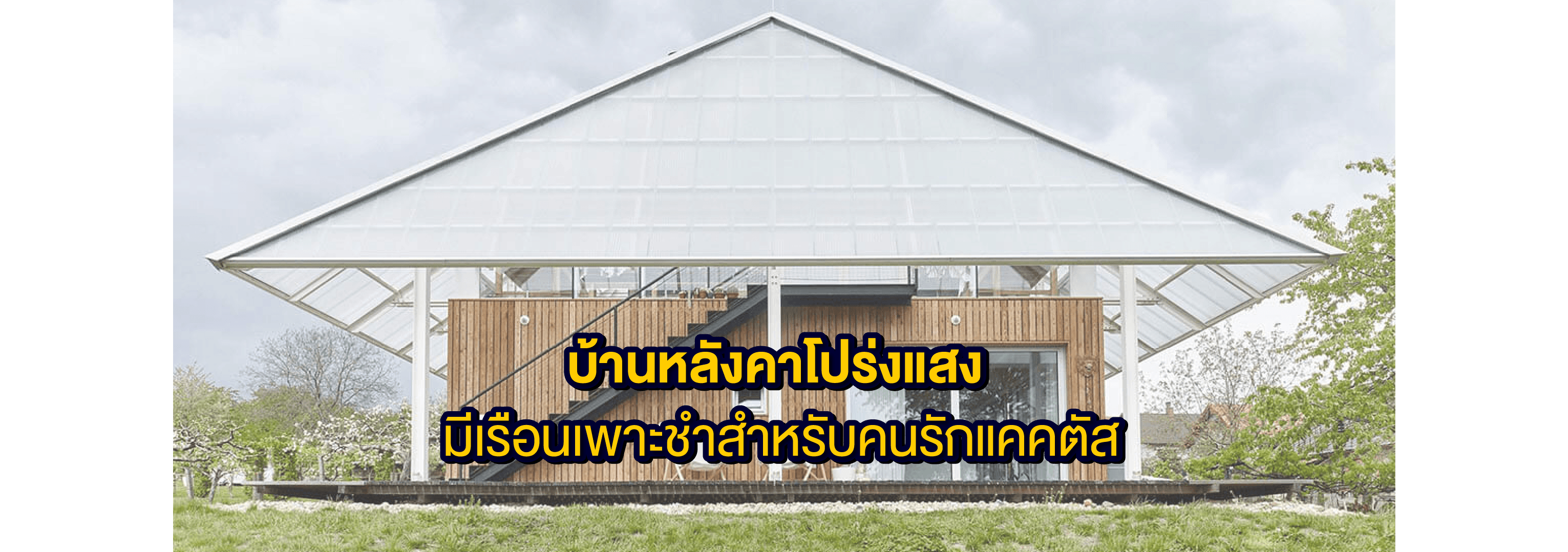 หลังคาโปร่งแสง